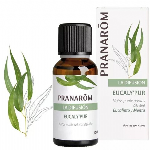 Eucalypur 30 ml pranarom