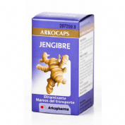 JENGIBRE ARKOCAPS (365 MG 48 CAPS)