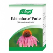 Echinaforce forte - a. vogel (30 comprimidos)