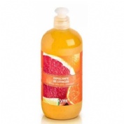 Soivre gel de baño exfoliante (1 envase 500 ml aroma citrico)