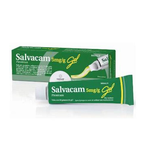 SALVACAM 5mg/g  GEL , 1 tubo de 60 g